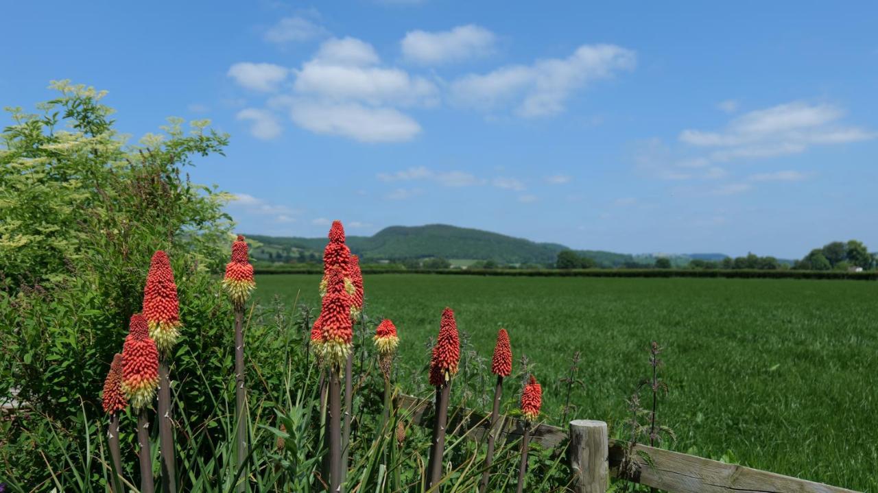 Country Cottage With Far Reaching Views Presteigne ภายนอก รูปภาพ